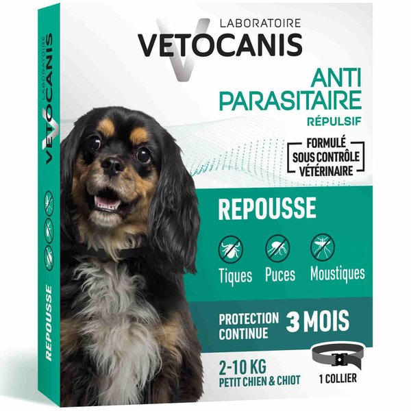 Sélection des meilleurs colliers anti-puces pour votre chien